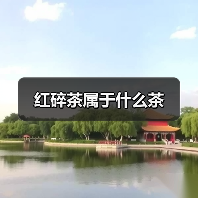 红碎茶属于什么茶(图1) 红碎茶属于什么茶(图1)