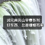 润元昌名山早春系列:好东西,总是姗姗而来(图1) 润元昌名山早春系列:好东西,总是姗姗而来(图1)
