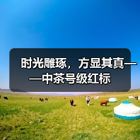 时光雕琢，方显其真——中茶号级红标（图2）