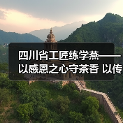 四川省工匠练学燕——以感恩之心守茶香 以传承创新铸匠心（图1）