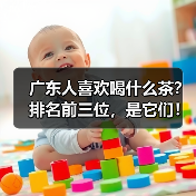 广东人喜欢喝什么茶?排名前三位,是它们!(图4) 广东人喜欢喝什么茶?排名前三位,是它们!(图4)