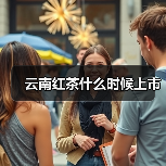 云南红茶什么时候上市（图1）