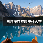 日月潭红茶属于什么茶(图1) 日月潭红茶属于什么茶(图1)