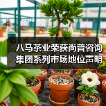 八马茶业荣获尚普咨询集团系列市场地位声明(图3) 八马茶业荣获尚普咨询集团系列市场地位声明(图3)