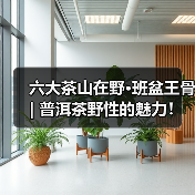 六大茶山在野·班盆王骨 | 普洱茶野性的魅力!正式上市!(图3) 六大茶山在野·班盆王骨 | 普洱茶野性的魅力!正式上市!(图3)
