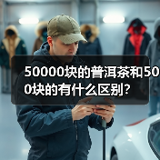 50000块的普洱茶和500块的有什么区别？（图2）
