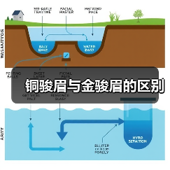 铜骏眉与金骏眉的区别（图3）