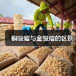 铜骏眉与金骏眉的区别（图2）