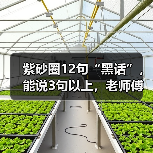 紫砂圈12句“黑话”，能说3句以上，老师傅直接把你当自己人（图4）
