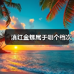 滇红金螺属于哪个档次（图3）