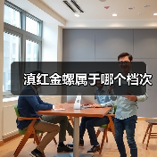 滇红金螺属于哪个档次（图4）