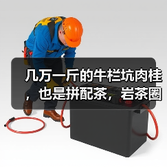 几万一斤的牛栏坑肉桂,也是拼配茶,岩茶圈已经没有纯料茶了吗?(图4) 几万一斤的牛栏坑肉桂,也是拼配茶,岩茶圈已经没有纯料茶了吗?(图4)