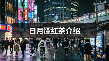 日月潭红茶介绍(图1) 日月潭红茶介绍(图1)