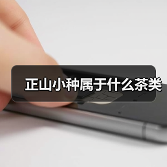 正山小种属于什么茶类(图1) 正山小种属于什么茶类(图1)