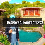 银骏眉和小赤甘的区别(图2) 银骏眉和小赤甘的区别(图2)
