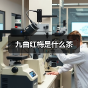 九曲红梅是什么茶(图3) 九曲红梅是什么茶(图3)