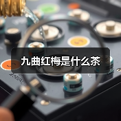 九曲红梅是什么茶(图4) 九曲红梅是什么茶(图4)