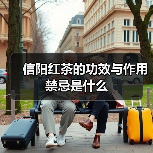 信阳红茶的功效与作用禁忌是什么(图1) 信阳红茶的功效与作用禁忌是什么(图1)