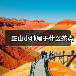 正山小种属于什么茶类(图4) 正山小种属于什么茶类(图4)
