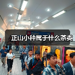 正山小种属于什么茶类(图2) 正山小种属于什么茶类(图2)