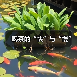 喝茶的“快”与“慢”(图2) 喝茶的“快”与“慢”(图2)