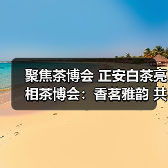 聚焦茶博会 正安白茶亮相茶博会：香茗雅韵 共绘新篇（图1）