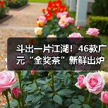 斗出一片江湖！46款广元“金奖茶”新鲜出炉（图4）