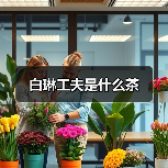 白琳工夫是什么茶(图3) 白琳工夫是什么茶(图3)