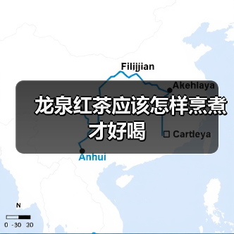 龙泉红茶应该怎样烹煮才好喝（图2）
