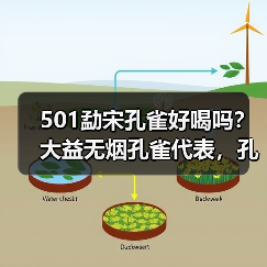 501勐宋孔雀好喝吗？大益无烟孔雀代表，孔雀系列佼佼者（图2）
