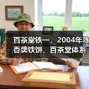 百茶堂铁一，2004年陈香牌铁饼，百茶堂体系里的明星标杆（图1）