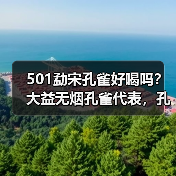 501勐宋孔雀好喝吗？大益无烟孔雀代表，孔雀系列佼佼者（图4）