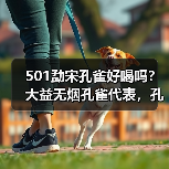 501勐宋孔雀好喝吗？大益无烟孔雀代表，孔雀系列佼佼者（图1）