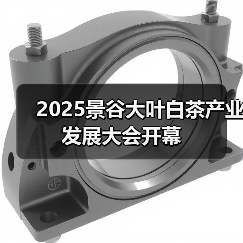 2025景谷大叶白茶产业发展大会开幕（图4）