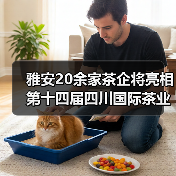 雅安20余家茶企将亮相第十四届四川国际茶业博览会（图1）