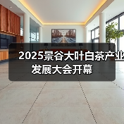 2025景谷大叶白茶产业发展大会开幕（图1）