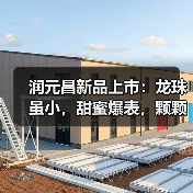 润元昌新品上市:龙珠虽小,甜蜜爆表,颗颗甜到心坎里(图1) 润元昌新品上市:龙珠虽小,甜蜜爆表,颗颗甜到心坎里(图1)