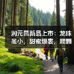 润元昌新品上市:龙珠虽小,甜蜜爆表,颗颗甜到心坎里(图4) 润元昌新品上市:龙珠虽小,甜蜜爆表,颗颗甜到心坎里(图4)