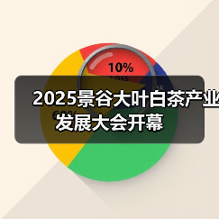 2025景谷大叶白茶产业发展大会开幕（图3）