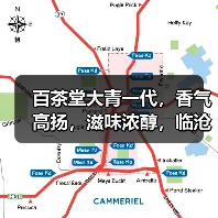 百茶堂大青一代，香气高扬，滋味浓醇，临沧勐库教材级经典老生茶（图1）