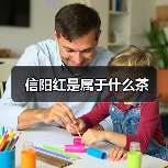 信阳红是属于什么茶（图3）