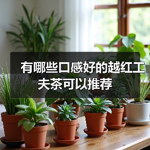 有哪些口感好的越红工夫茶可以推荐（图2）