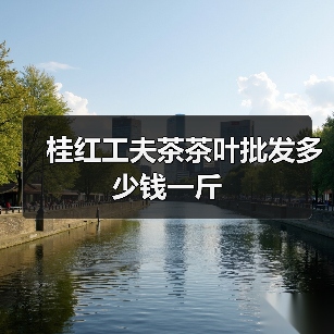 桂红工夫茶茶叶批发多少钱一斤（图2）