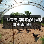 勐宋高境淬炼的时光馈赠 傲雪小饼(图2) 勐宋高境淬炼的时光馈赠 傲雪小饼(图2)