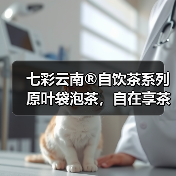 七彩云南®自饮茶系列 原叶袋泡茶，自在享茶韵（图3）