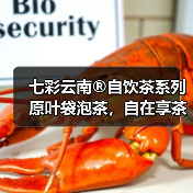 七彩云南®自饮茶系列 原叶袋泡茶，自在享茶韵（图2）