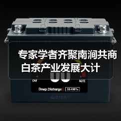 专家学者齐聚南涧共商白茶产业发展大计(图2) 专家学者齐聚南涧共商白茶产业发展大计(图2)