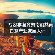 专家学者齐聚南涧共商白茶产业发展大计(图1) 专家学者齐聚南涧共商白茶产业发展大计(图1)