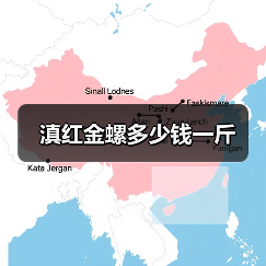 滇红金螺多少钱一斤(图1) 滇红金螺多少钱一斤(图1)