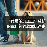 “代用茶加工工”成新职业!新的就业机遇来了吗?(图2) “代用茶加工工”成新职业!新的就业机遇来了吗?(图2)